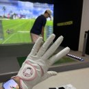 캘러스크린골프 이미지