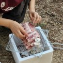 던킨 충남 태안점 | 29, 28번째 캠핑, 드디어 오션뷰 캠핑 성공! 바다가 잘보이는, 태안 캠핑장 곰섬킹콩솔숲캠핑장