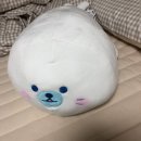 우정까망촌돼지 이미지