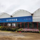 우리유통 | 용인 남사화훼단지 방문 후기_남사화훼유통_드존화훼유통