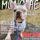 닥터k동물병원 이미지