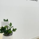 제시뷰티아카데미 이미지