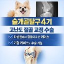 튼튼 동물병원 네이버블로그