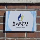 호야2농장 이미지