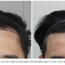 뉴헤어시티