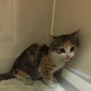 용강동물병원 이미지