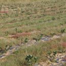 금동농장 이미지