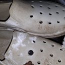 바이오세탁 이미지