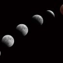 달빛숲속마을 이미지