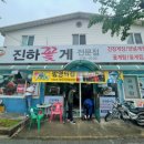 진하꽃게