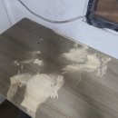 파주상재 | 파주시 화재청소 동패동 가정집 그을음 제거 전문 업체 후기