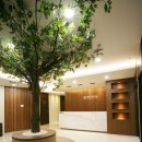 백수한의원 이미지