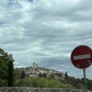 뽑기방스 | [신혼여행] DAY6. 생폴드방스 Fondation Maeght 미술관 구경, 생폴드방스 마을 구경