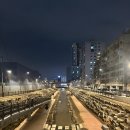 석남완충녹지공원 | 🌿[부평 굴포천] 산책다녀온 솔직 후기