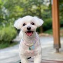 (주)아이엔비