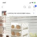 송월포유