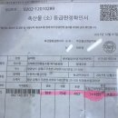 옥천식육점