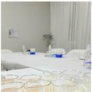 수원-0271 이미지