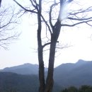 "괴산 산막이길 " 등잔봉, 삼성산 2012. 4.8 이미지