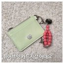 양지광택칼라매치 | 20대 30대 디자이너 브랜드 카드지갑 추천, 퓨어브잇 뷰잇 카드 슬롯 후기