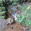 숲속의 정든집 야영장 이미지