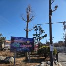 추암오토캠핑장 | 동해) 바다 앞에서 캠핑할수있는 동해 오토 캠핑장 A4 자리 후기(feat. 2박3일 캠핑음식) "추암오토캠핑장"