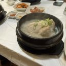 뉴현대모터스 네이버블로그