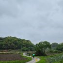 [DMZ평화의길 9코스 역방향] 파주 걷기좋은길 봄 트레킹 (8.5km, 3시간)
