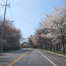 주산주유소 이미지