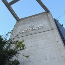 수요일에 떠나는 클래식 여행 | W12. 대구 수누주얼리 청아클래식 웨딩밴드 당일 계약 솔직후기
