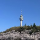 오천8길 | 29세의 어떤 날