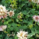 삼산체육관역 1번 출구 이미지