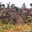 좌가연대 이미지