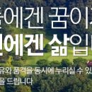 주식회사 신비로움 이미지