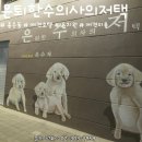 통일로 동물병원 이미지