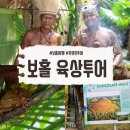 아이프렌즈 안경 | 필리핀 보홀 안경원숭이 초콜렛힐 가성비 육상투어