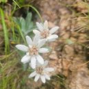세고개삼거리(하) | 설악산 등산코스/ 설악산 공룡능선 코스 소요시간 난이도 마등령 삼거리 하산 주의사항 총정리