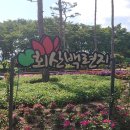 무안농협 망운지점