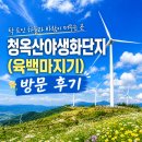 야생화단지 | 청옥산야생화단지(육백마지기) 방문 후기｜꽃 없어도 충분히 힐링되는 강원도 드라이브 코스