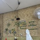 부두로L | [연안부두 l 맛집] 제물포회집 - 노포 느낌 나는 연안부두 후기