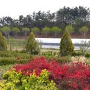 새로이농장 이미지