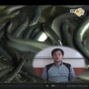 함평천지수산 이미지
