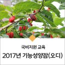 양장축산 Daum카페