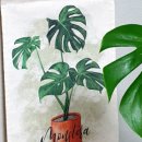 수채화와 디지털 보태니컬 드로잉 이미지