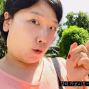 레이디앤젠틀맨 이미지