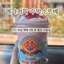 메가엠지씨커피대전학하 | KT 보답 메가커피 2잔 무료 할인 사용법 수박소르베 후기