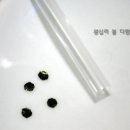 개구리도시락 Daum카페