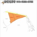 (주)천년애푸드 네이버블로그