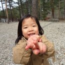 성문어린이집 이미지