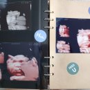 사림동164 이미지